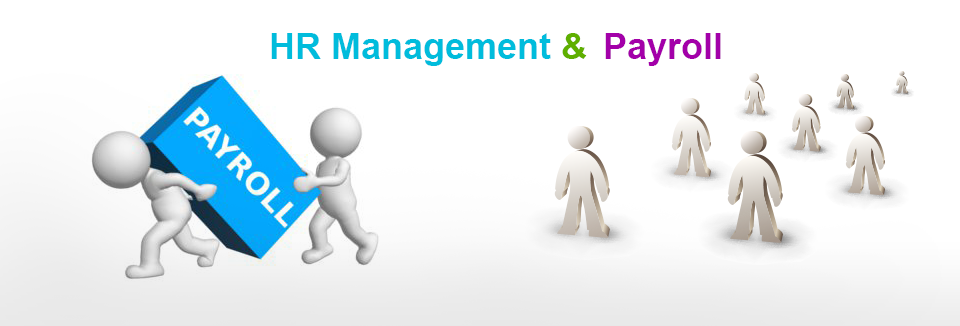 HR Management & Payroll